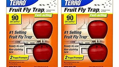 Terro T2503sr Ready To Use Indoor Fruit Fly Killer And Trap With Built In Window Now 10 Off