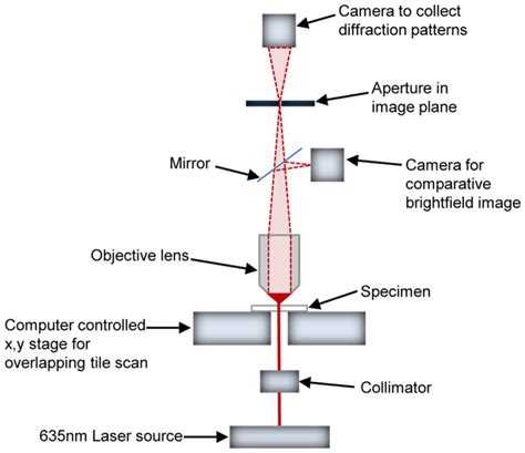 Optical Microscope Schematic Diagram