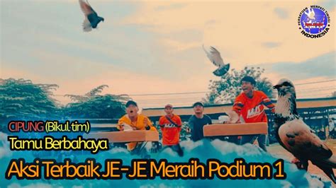 Lomba Merpati Kolong Patek Lapak Statiran Babak 4 Final YouTube