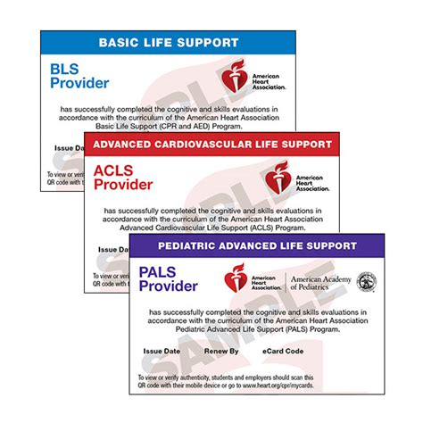 American Heart Association Bls Card