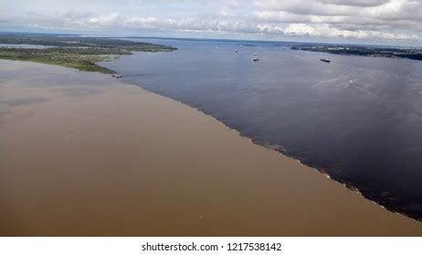 Amazon River Manaus Amazonas Brazil Stock Photo 1217538142 | Shutterstock