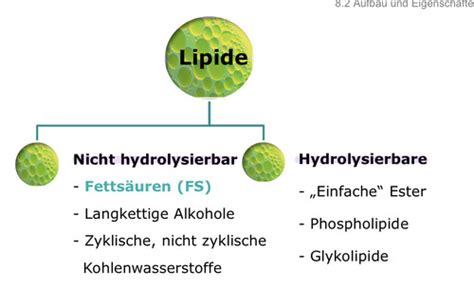 Kapitel Lipide Karteikarten Quizlet