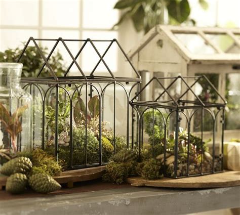 Wardian Cases Wire Terrariums Pottery Barn Garden Terrarium Indoor