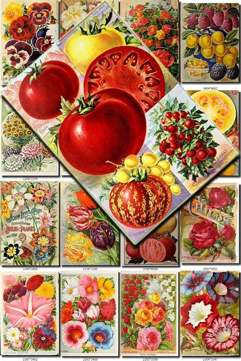 A Bunch Of Different Types Of Flowers And Fruits On A Table Top With