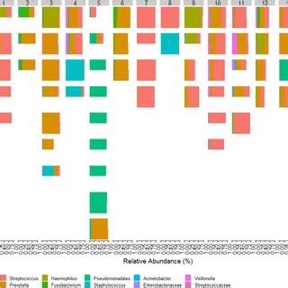 Stacked Bar Charts For Relative Abundance Of The Predominate Taxa For