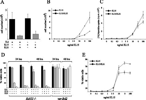 Figure 2 From Il 21 Induces The Functional Maturation Of Murine Nk