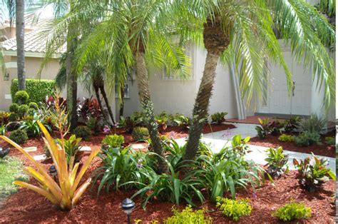 Palm Landscaping Tips Blog