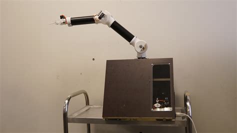 DIY robotic arm