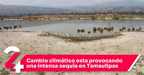 Cambio Climático Esta Provocando Una Intensa Sequía En Tamaulipas Noticias24siete