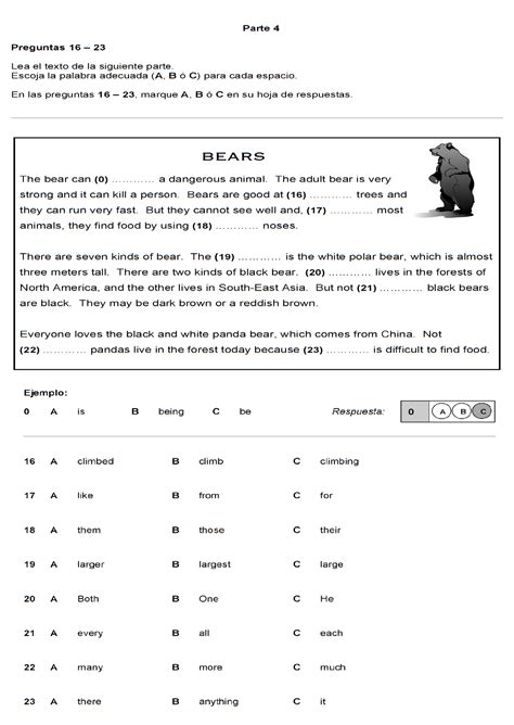 2007 Parte 4 BEARS Textos Lectura Leer