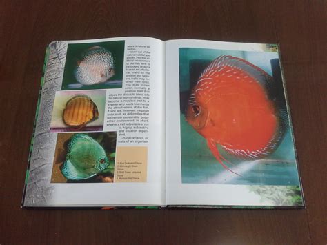 Jual Buku Ikan Hias Guide To Discus Ald Gallery Tokopedia