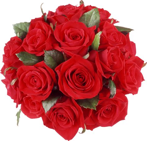 Red Roses Bouquet Png Clipart Gallery Yopriceville High Quality