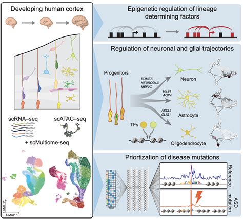 Integrative Cellular Biology And Bioinformatics M Ller Lab Saarland