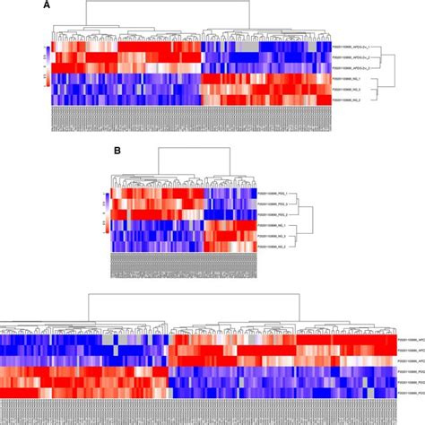 Cluster Heatmap Presenting Protein Clustering And Expression Levels