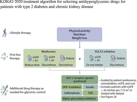 GLP-1 RAs, Other Agents, Underused in Patients Who Need Them the Most ...