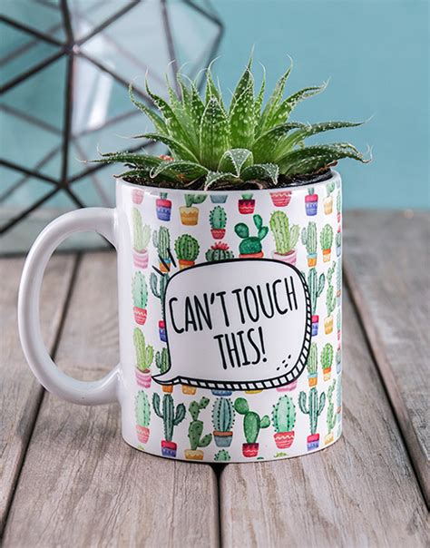 Cant Touch This Cactus Flowers In A Mug Netflorist