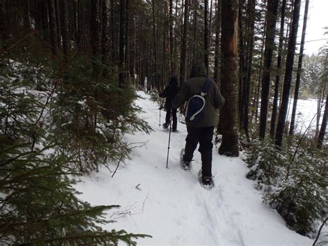 Guided Snowshoeing Adventures for the Whole Family in the Whites - Redline Guiding