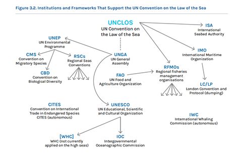 The United Nations Convention Of The Law Of The Sea Shark Allies