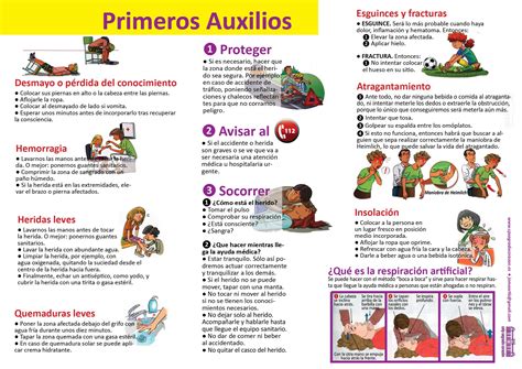 Mapa Mental De Primeros Auxilios Basicos Lukiso