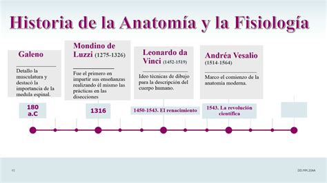 Historia de la Anatomía y Fisiología Humana YouTube