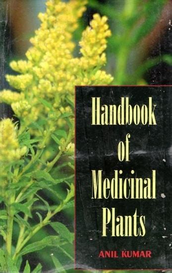 Handbook Of Medicinal Plant Exotic India Art