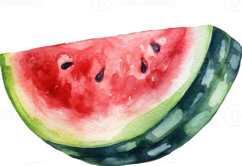 Watermelon Watercolor Illustration Png