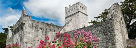 Muckross Abbey - Killarney Day Tour