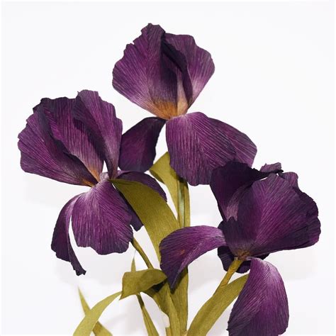 Paper Iris Paper Flowers By Michelle Zerull Paper Flowers Paper