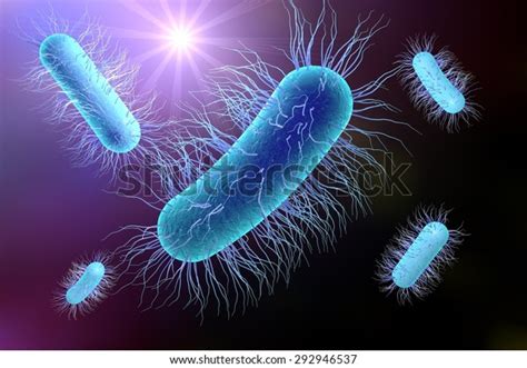 D Illustration Bacteria Escherichia Coli Salmonella Stock Illustration