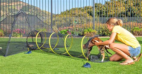 This Outdoor Cat Tent With Tunnel Lets You Kitties Safely Play Outside