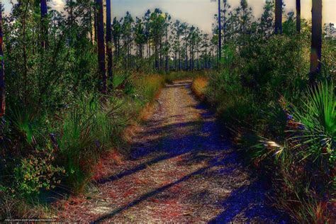 Top 999 Everglades National Park Wallpaper Full HD 4K Free To Use