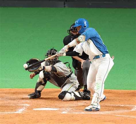 【日本ハム】郡司裕也op戦11打席目で初安打が逆転適時打に「めちゃめちゃ気にしていました」 プロ野球写真ニュース 日刊スポーツ