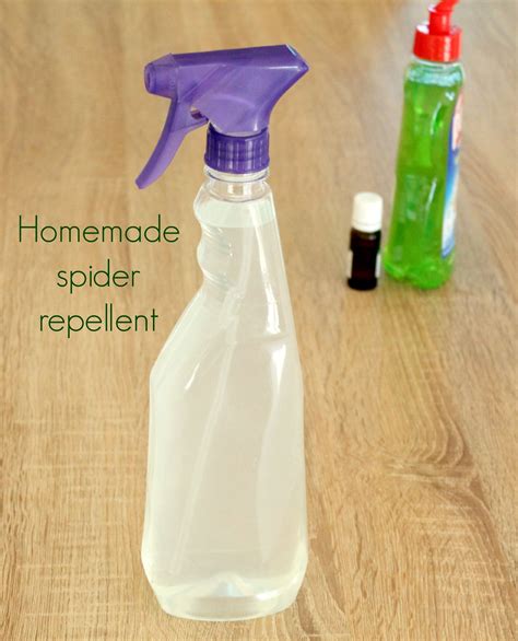 Homemade Natural Spider Repellent This Natural Homemade Spider Repellent Can Be Used For Home