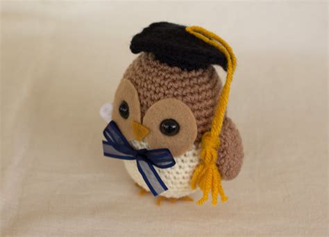 Graduation Owl Crochet Pattern Owl Amigurumi Crocheted Bird Etsy