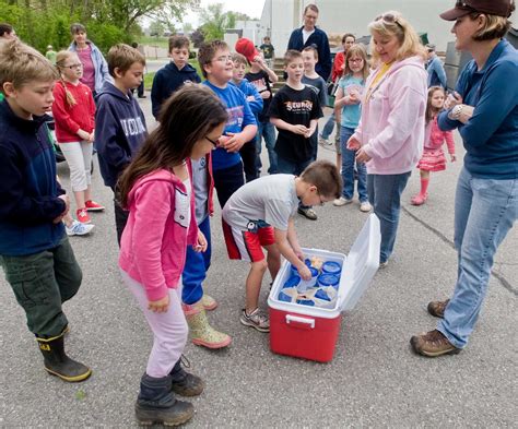 Environmentalists say wood is good for rivers
