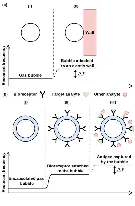 A Schematic Of The Operating Principle Of Gas Bubble Based Sensors