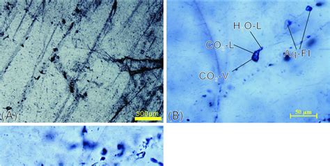 Photomicrographs Showing Types And Occurrences Of Fluid Inclusions In