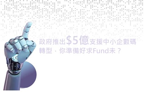 Boutir 掌舖 數碼轉型求fund術 2024「數碼轉型支援先導計劃」dtspp