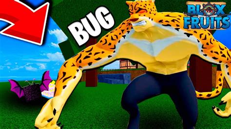 O Novo Bug Para Pegar A Fruta Do Leopardo Muito F Cil Blox Fruits