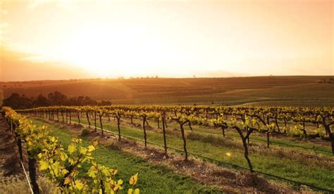 100 Best Towns In Australia 58 Clare Valley Sa Australian Traveller