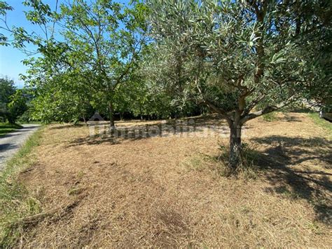 Terreno Agricolo Via Facciata Soldati Castel San Pietro Romano Rif