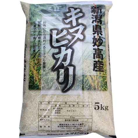 3分づき 令和4年 新潟産 キヌヒカリ 5kg 胚芽米 胚芽精米 お米安い 米5kg 新潟産米 農家 Kinuhikari 3buduki