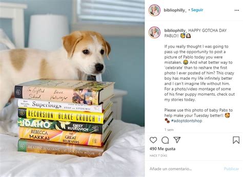 Qué es bookstagram Autopublicando 2023