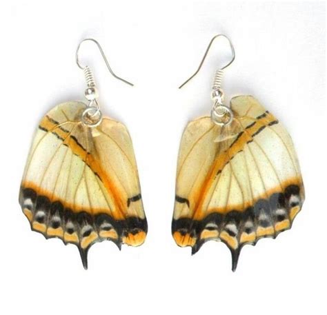 Real Butterfly Wings Earrings Handmade Unsual Jewelry T Etsy