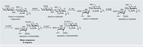 Figure From Chemoenzymatic Synthesis Of The Next Generation Of