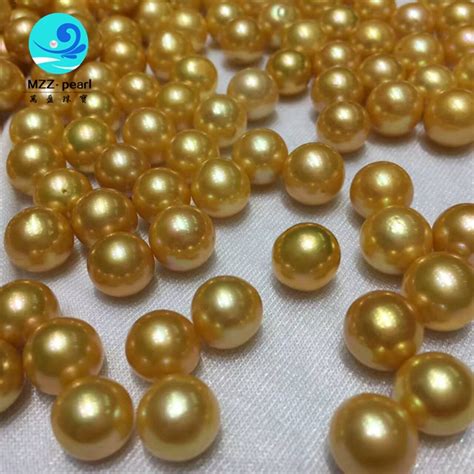 Golden Freshwater Pearls 10 11mm AA Grade