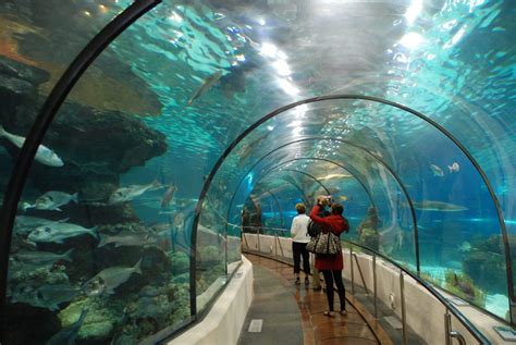 Best Aquariums In The U.S. | Drive The Nation