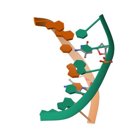 Rcsb Pdb 1f6i Crystal Structure Of The E Dna Hexamer Ggcgm5cc