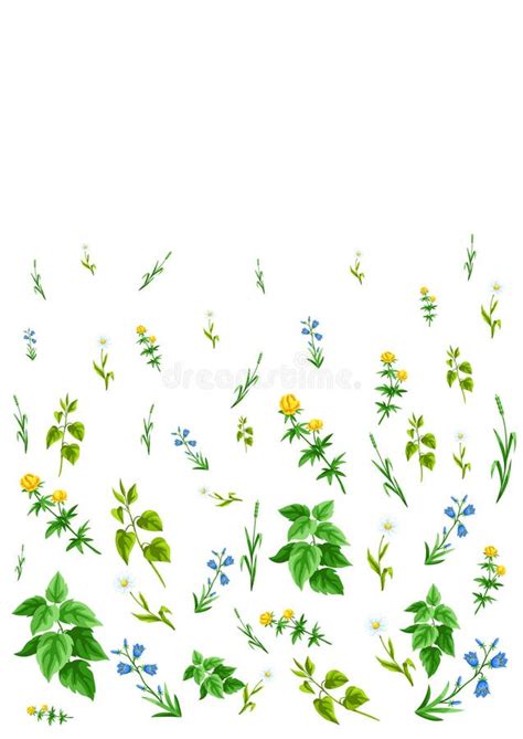 Background With Meadow Flowers Herbs And Cereal Grass Beautiful Decorative Spring Plants Stock