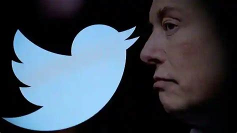 Elon Musk Introduces The New Ceo Of Twitter The Mount Kenya Times